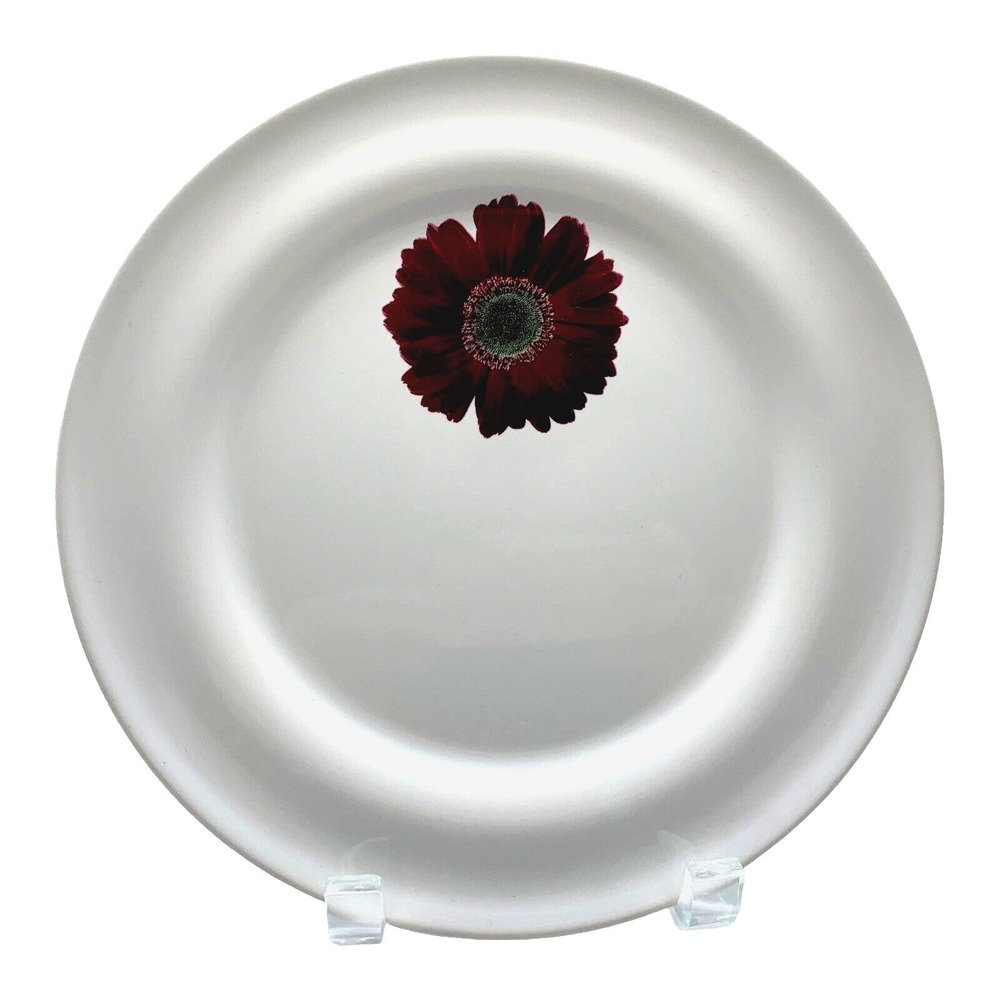 Red Gerbera Daisy Lunch Dinner Plate Floral 8.75" Table Portugal Replacement